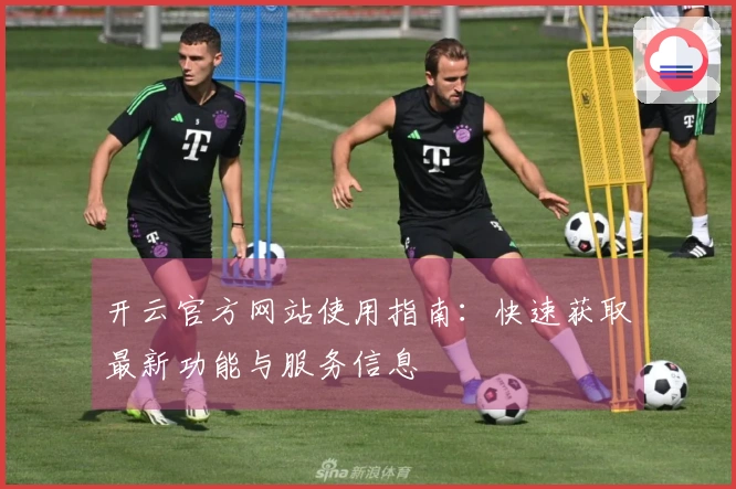 开云官方网站使用指南：快速获取最新功能与服务信息