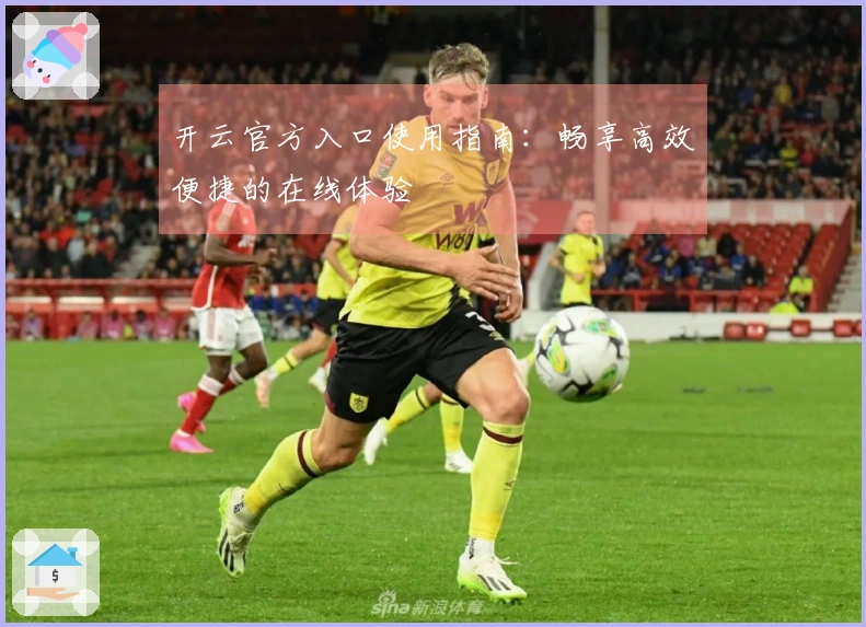 开云官方入口使用指南：畅享高效便捷的在线体验